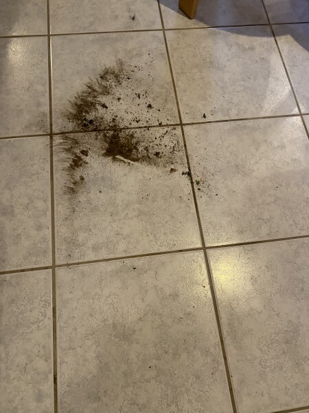 London VRBO/hotels -aug 2022