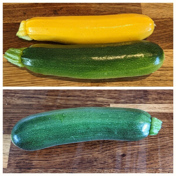 The Vegetable Patch