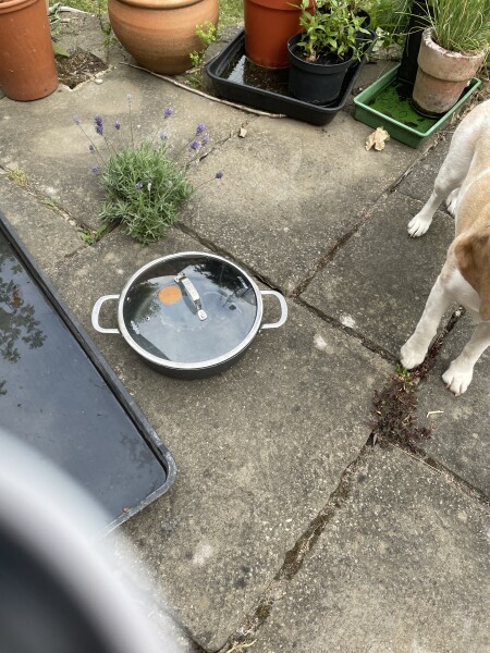 To see if I can cook an egg on my patio in this heat.