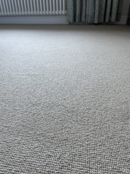 Would you accept this? (Carpet pic)