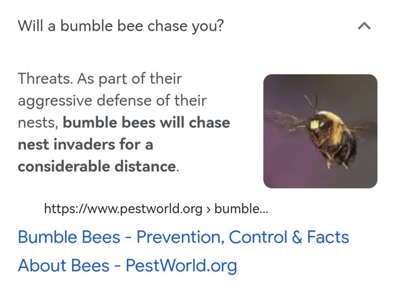 To be pissed off with bees terrorising my garden
