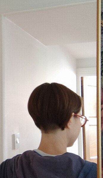 To undercut or not to undercut - help! Pics included. 