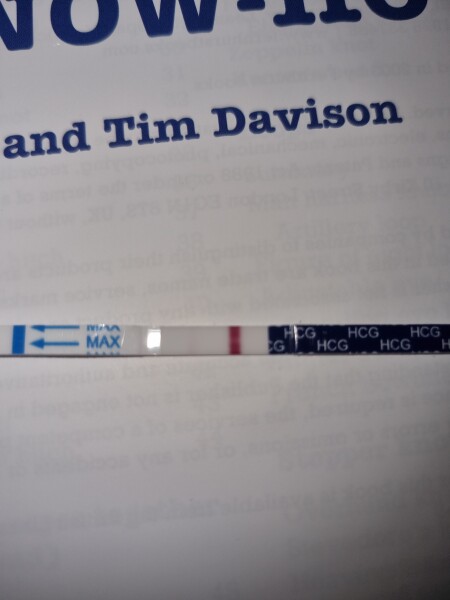TWW 11dpo