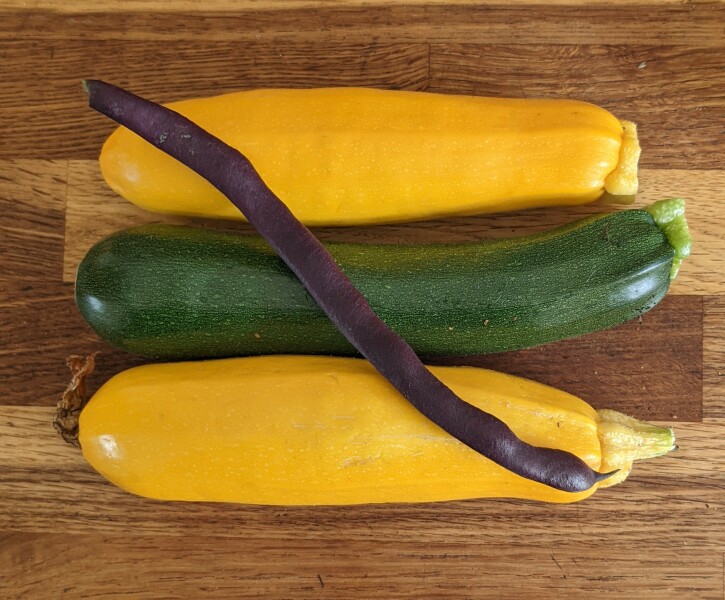 The Vegetable Patch