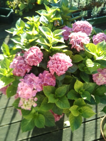 Come and tell me your dull and unexciting news 23: Calmly through the day 