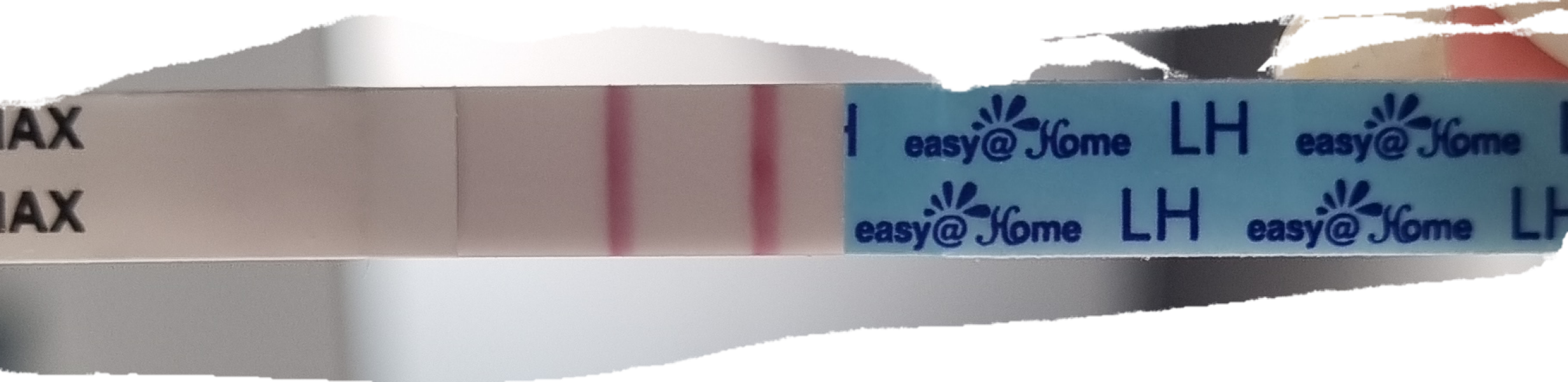 Hoping for a BFP in July/august