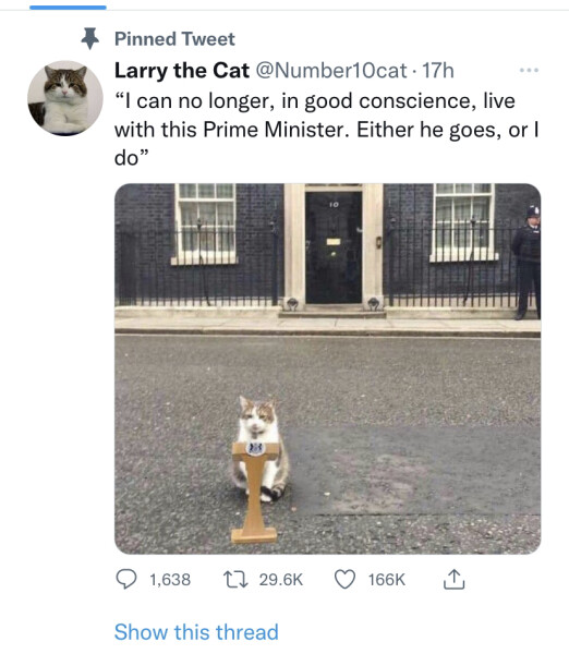 Larry the Downing Street cat