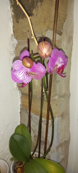 Come and tell me your dull and unexciting news 23: Calmly through the day 