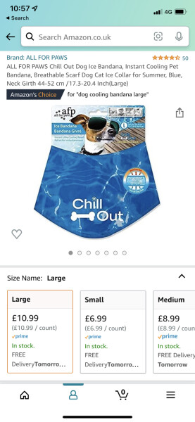Dog owners, are you walking them today?