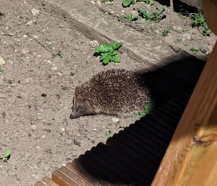 Met office RED WARNING for extreme heat. Part 2:Tuesday