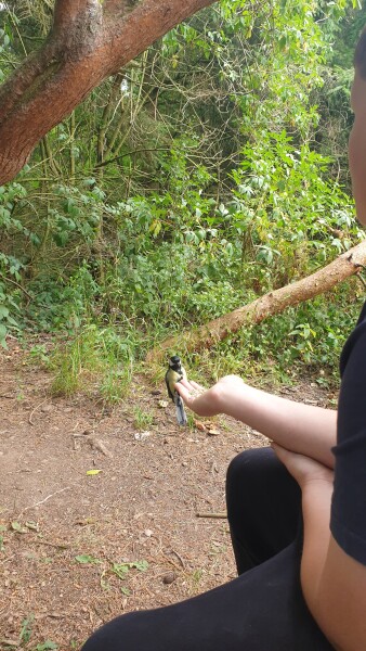 Nature Notes: the 2022 edition