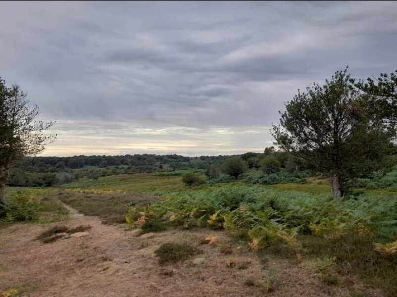 Come chat hiking with me!