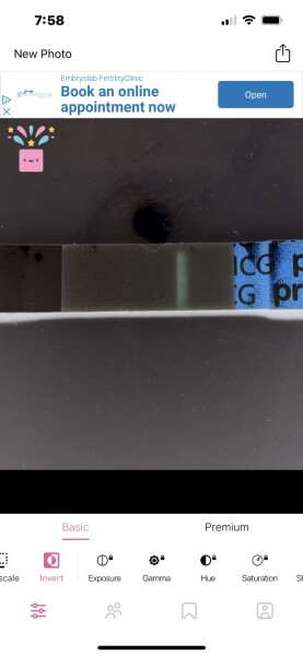 Pregnancy test