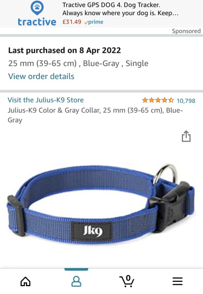 Collar for a lively Labrador puller