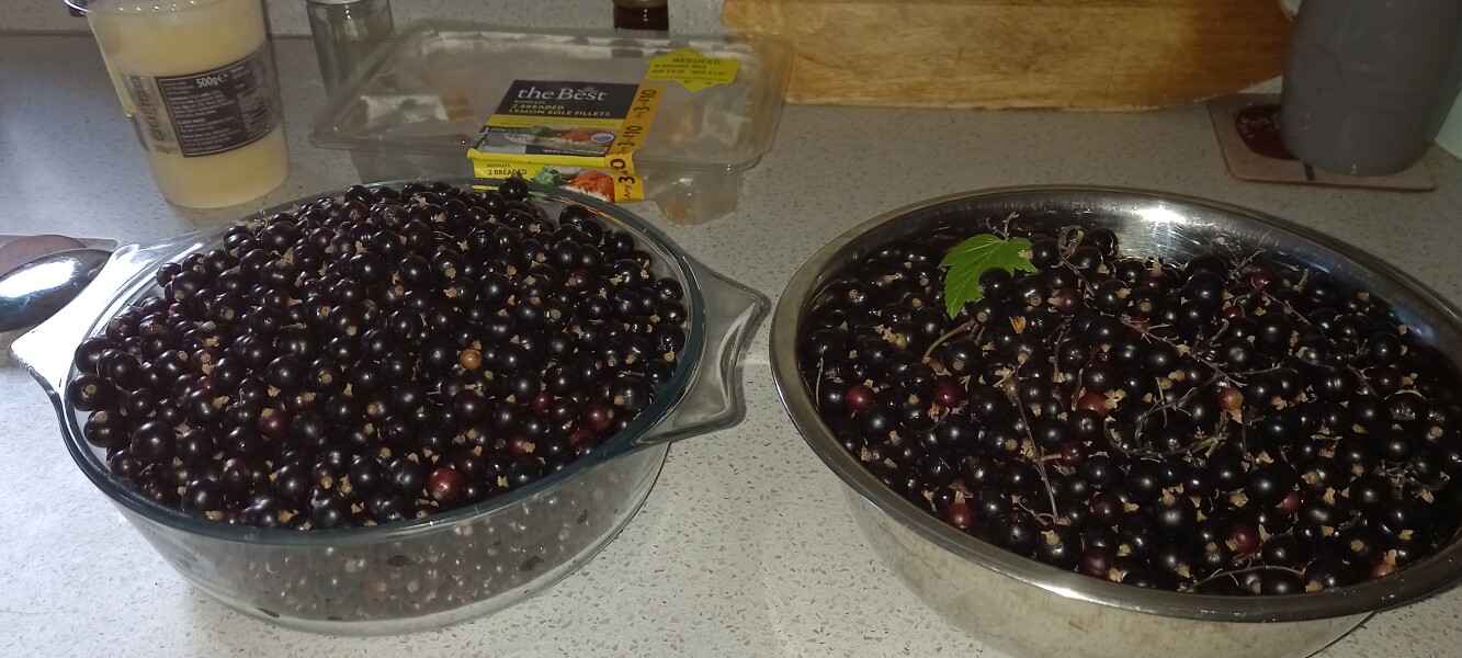 Come and tell me your dull and unexciting news 23: Calmly through the day 