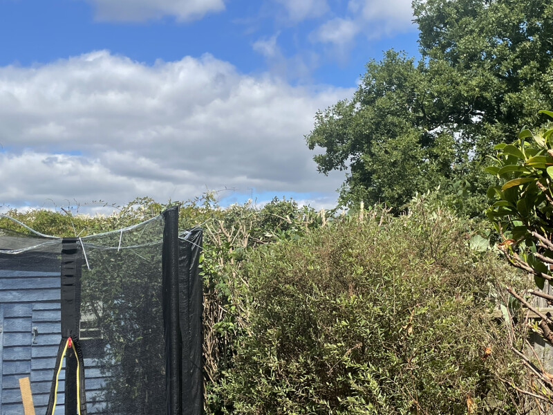 Decluttering Club thread 2 2022 - trying to reduce stuff a little at a time.