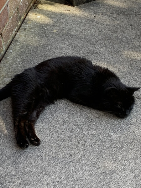 To a life well spent – RIP Cap'n V