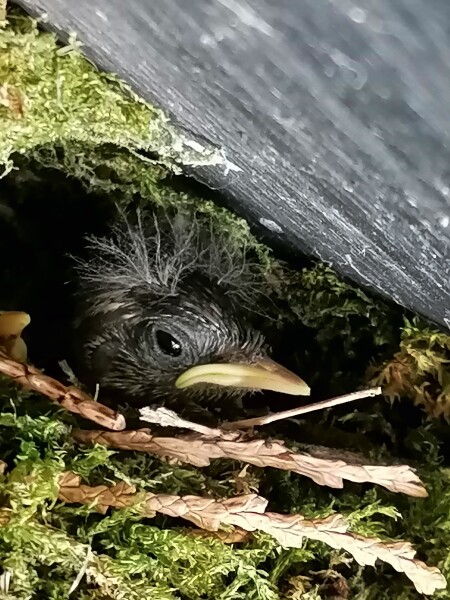 We've got babies! 