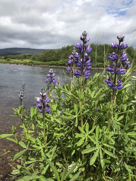 Where is the most beautiful place in Uk, walking and chilling, amazing scenery 