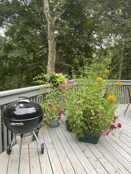 Come and tell me your dull and unexciting news 23: Calmly through the day 