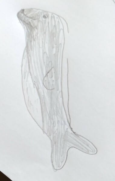 Beloved toy seal lost in Chichester 