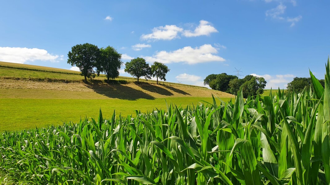 Come and tell me your dull and unexciting news 23: Calmly through the day 