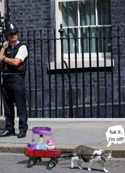 Boris Johnson and the cabinet of curiosities Thread 8