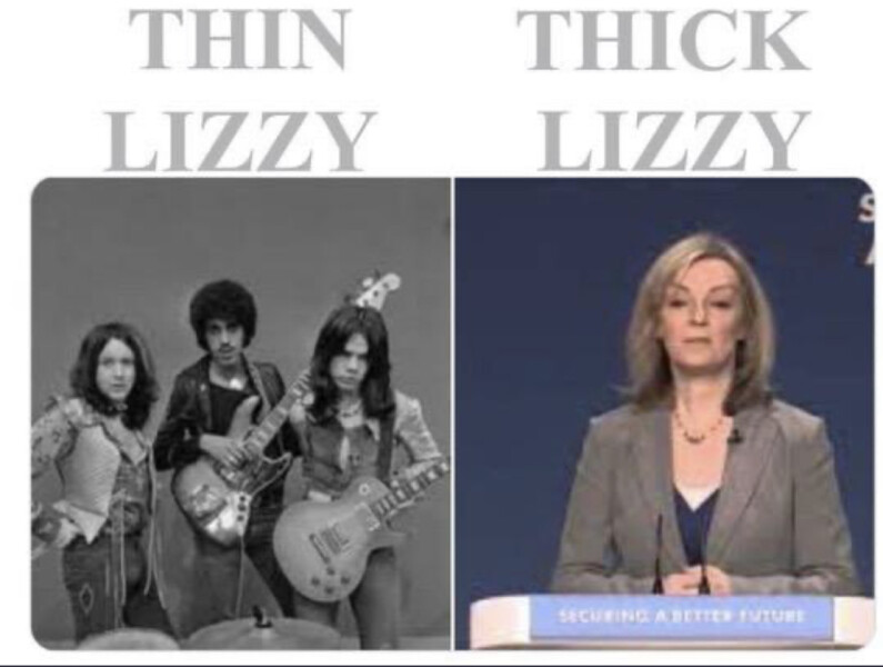 The one where Big Dog gets poop scooped Thread 10