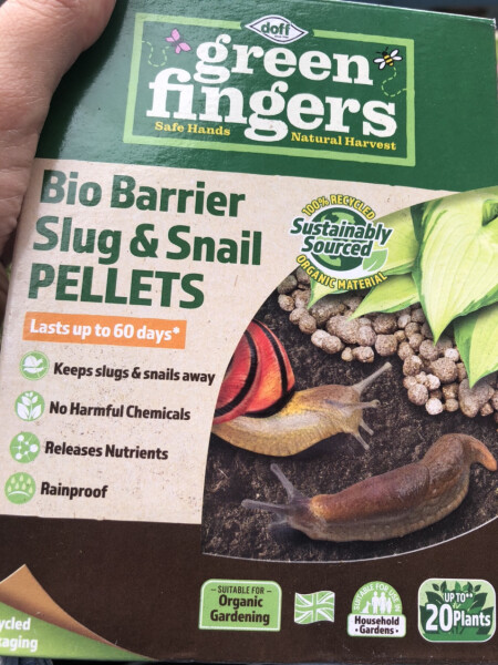 Stop my plants being eaten