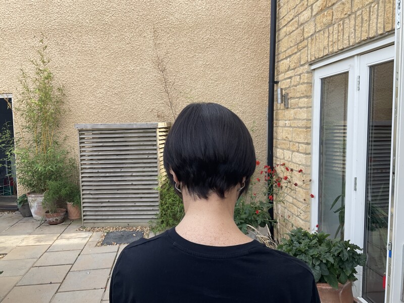 Help!  Bad haircut and what has happened at back?