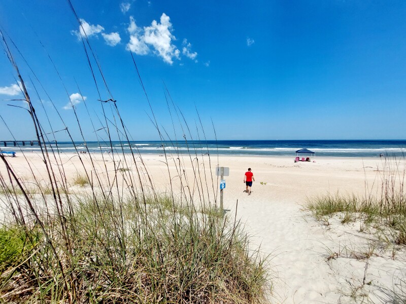 To head to the coast on 40 degree days?