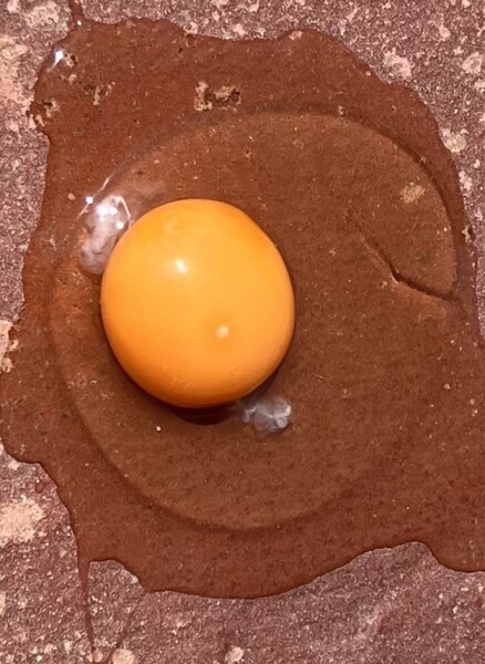 To see if I can cook an egg on my patio in this heat.
