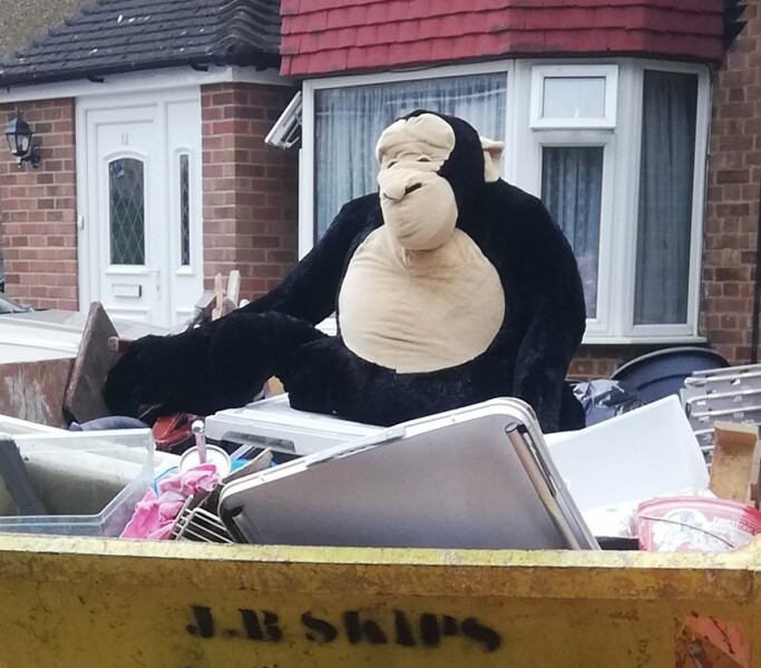 A large bear has appeared in my brother in laws drive... 