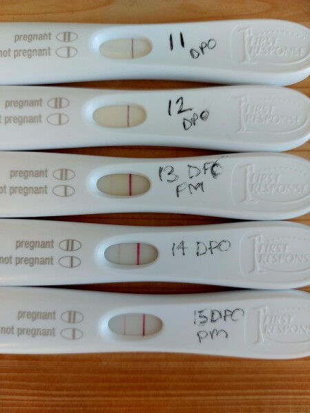 Are these good progression lines??