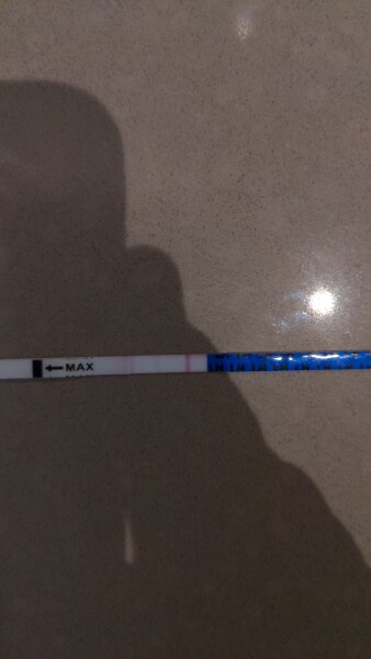 EWCM BUT NO POSITIVE OPK.... WHEN TO DTD?