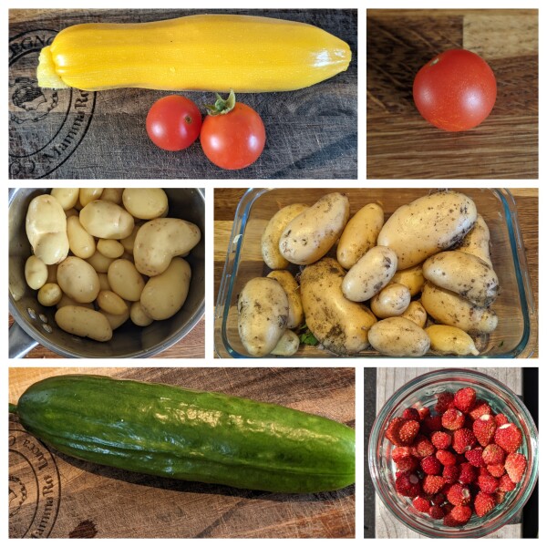The Vegetable Patch