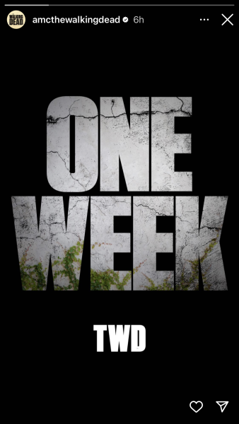 Walking dead series 11