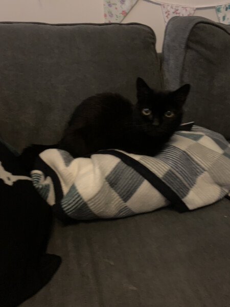 To a life well spent – RIP Cap'n V