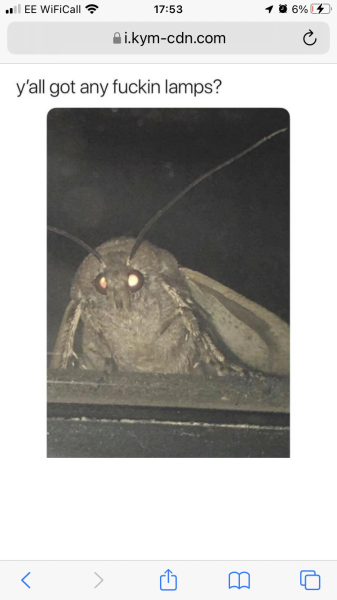 How do I get my new 'friend'out of my house 