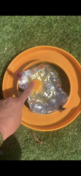 The great Eggsperiment taking place on 19th July/ Aka EGG WARS 