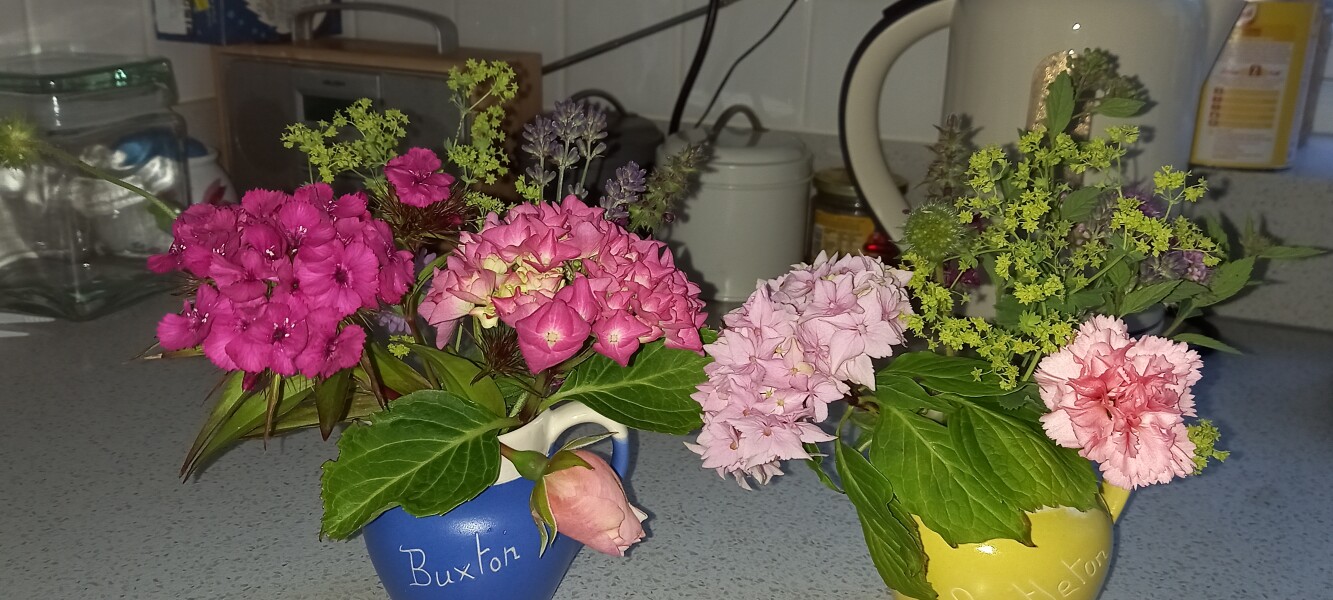 Come and tell me your dull and unexciting news 23: Calmly through the day 