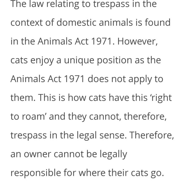 Neighbour getting cross about my cats