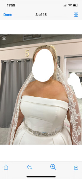 Should I buy this wedding dress..?