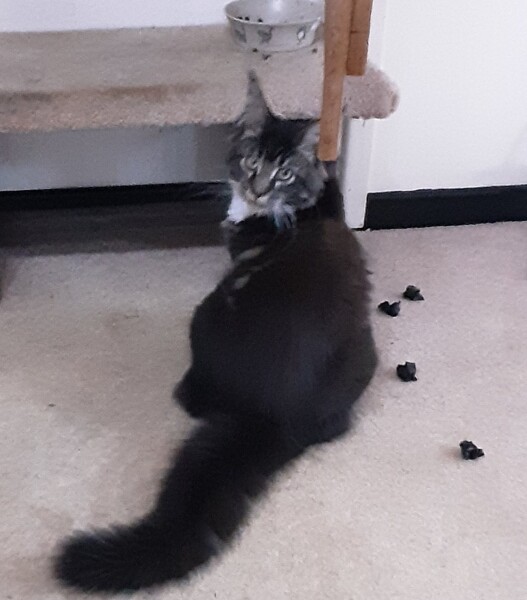 Come and tell me your dull and unexciting news 23: Calmly through the day 