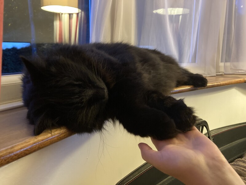 To a life well spent – RIP Cap'n V