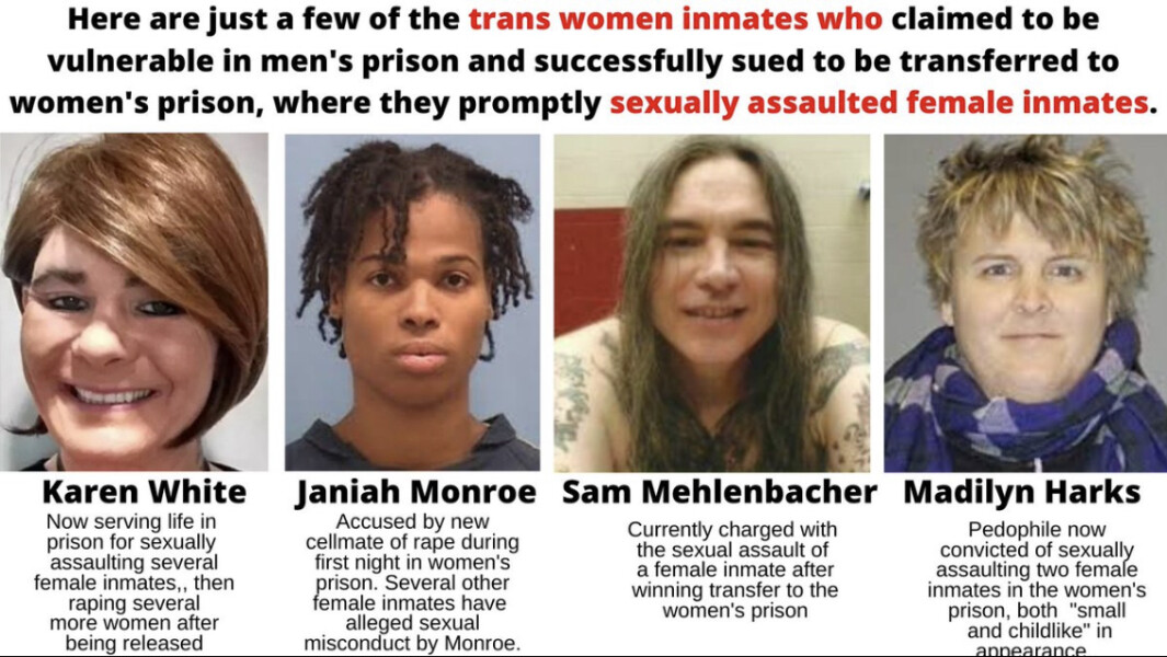 Is trans movement now, comparable to LGB movement back in the day?