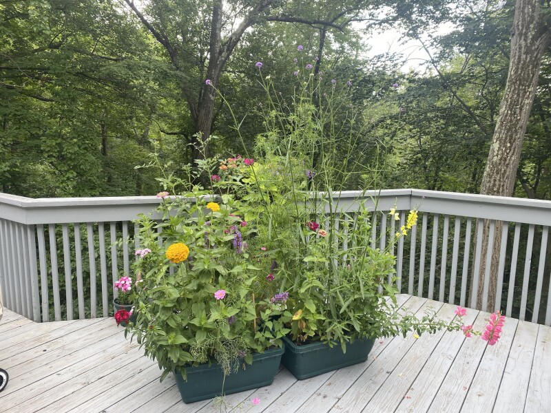 Come and tell me your dull and unexciting news 23: Calmly through the day 