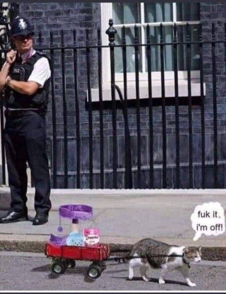 Larry the Cat for Prime Minister.