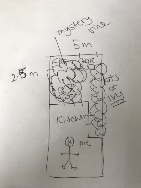 Very overgrown yard - what are my rights as a buyer?