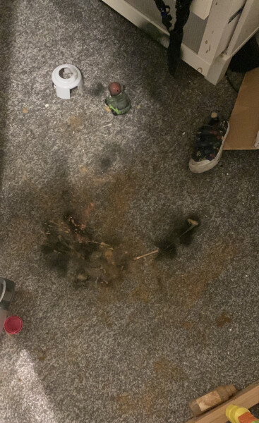 Someone PLEASE help save my carpets